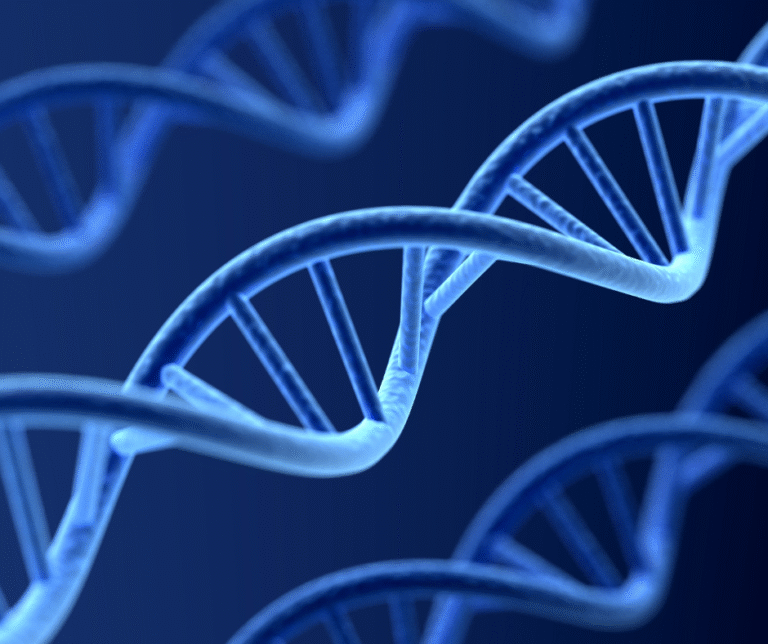 3x4 Genetic Testing in Scottsdale